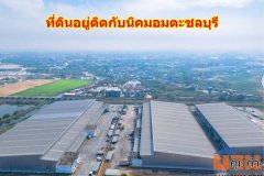 ขายที่สีม่วง  31  ไร่ ใกล้ถนนเลียบมอเตอร์เวย์ สาย 7 ใกล้นิคมอมตะ ชลบุรี  ต.บางนาง อ.พานทอง จ.ชลบุรี