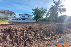 ขายที่ดินเปล่า ทำเลดี ย่านตลิ่งชัน กรุงเทพฯ