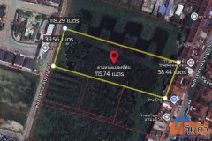 ขายที่ดิน ซอยเทศบาลบางปู 87 ถนนสุขุมวิท ตำบลบางปูใหม่ อำเภอเมือง สมุทรปราการ