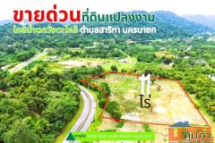 ขายที่ดินแปลงใหญ่สวยเนื้อที่ 11 ไร่ ต.สาริกา อ.เมืองนครนายก จ.นครนายก โทร.084-1416555