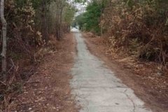 ที่ดินราคาถูกมาก ใกล้ชุมชน พระพุทธบาทสระบุรี