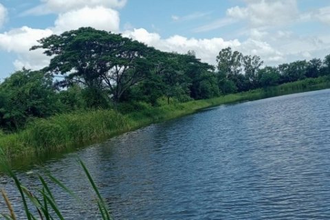 ขายห้องเช่าและ บ่อเลี้ยงปลา เพื่อการเกษตร บนที่ดิน ขนาด 10 ไร่ 98 ตรว. ต.บางนาง อ.พานทอง จ.ชลบุรี​