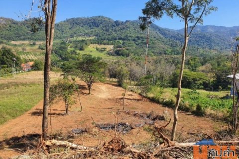 ขายที่ดินเขาใหญ่ วิวหุบเขา ติดถนนสาธารณะ บ้านซับใต้ ต.พญาเย็น อ.ปากช่อง จ.นครราชสีมา