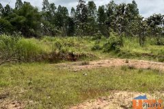 ขายด่วน! ที่ดินอุบลฯ 5 ไร่ สวยๆ เพียง 800,000 บาท คุ้มกว่านี้ไม่มีอีกแล้ว!!