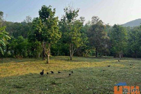 ขายที่ดิน ทำเลดี ใกล้ทะเล เกาะช้าง จังหวัดตราด