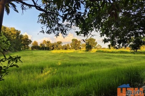 ขายด่วนที่ดิน 18-2-84 ตร.ว. ตัวเมืองชัยภูมิ ทำเลดีเยี่ยม ลดจาก 25 เหลือ 17 ล้านบาท ลดไป 32% ถูกที่สุดในทำเลนี้