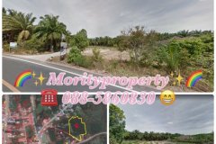 ขายที่ดิน ต.คลองท่อมใต้ อ.คลองท่อม จ.กระบี่ ใกล้ตลาดสดเทศบาลตำบลคลองท่อม