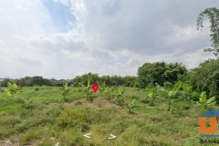 ขายที่ดินเปล่า ซอยสกุลไพศาล ต.สำโรงใต้ อ.พระประแดง จ.สมุทรปราการ