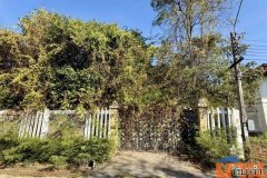 ขายบ้านเดี่ยว 2 ชั้น หมู่บ้านกรีนวัลเล่  อำเภอบางพลี  จังหวัดสมุทรปราการ