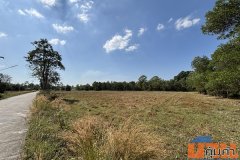 ขายที่ดิน 13 ไร่ 63 ตารางวา นครนายก ถนนสุวรรณศร หมู่ที่9 ต.ป่าขะ อ.บ้านนา โทร 089-7411750