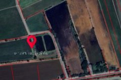 ขายที่ดินยกแปลง 39-2-48 ไร่ ทำเลดี ต.บางกะไห อ.เมืองฉะเชิงเทรา