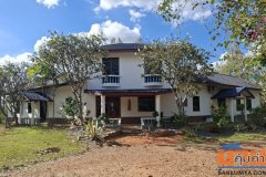 ขายที่ดินพร้อมบ้าน ราคาถูก อำเภอจัตุรัส จังหวัดชัยภูมิ