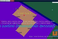 ✅ขายที่ดิน 76ไร่ พื้นที่สีม่วง หน้ากว้าง 330ม. ถนน340 บางบัวทอง-สุพรรณบุรี กม.51 ตำบล องครักษ์ อำเภอบางปลาม้า สุพรรณบุรี