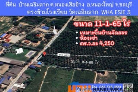 ขายที่ดิน เหมาะสร้างโครงการบ้าน ห้องเช่า ใกล้นิคม WHA ESIE 3 หนองใหญ่ ชลบุรี