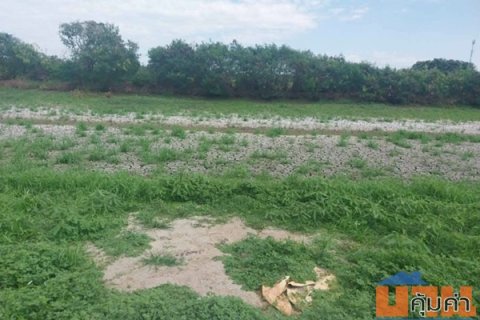 ขายด่วน! ลดกระหน่ำ ถูกสุดๆ ขายที่ดินราคาพิเศษ อ.บางเสาธง จ.สมุทรปราการ สวย ทำเลดี Tel. 092-6869618