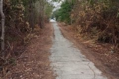 ขายที่ดินเปล่า ราคาถูก ใกล้ชุมชน อ.พระพุทธบาท จ.สระบุรี