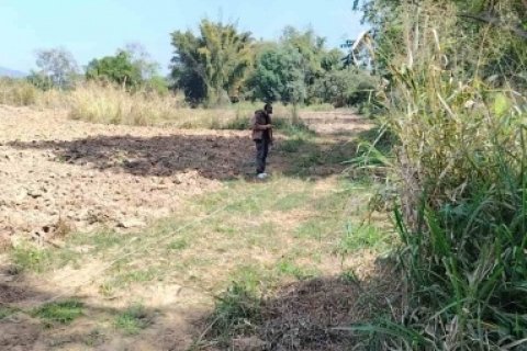 ขายที่ดินเปล่า12 ไร่ ทำเลสวย อากาศดี อำเภอภูเรือ จังหวัดเลย