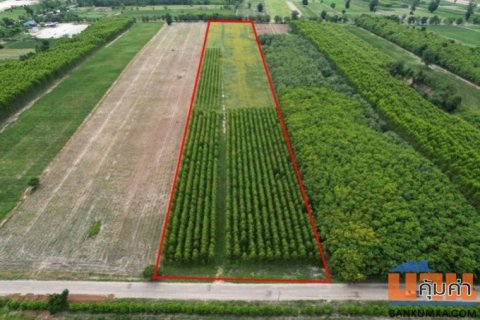 ขายที่ดินสวยราคาถูก ในตำบลไตรตรึงษ์ อำเภอเมืองกำแพงเพชร ติดถนนสองด้าน ติดทางสาธารณะ