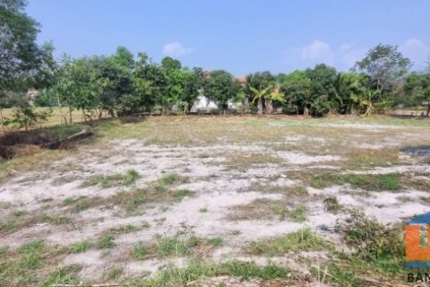 ขายที่ดินเปล่า นครนายก อ.เมือง 1 ไร่ 3 งาน 58 ตร.ว. ทำเลดี ติดคลอง ราคา 1.9 ล้าน