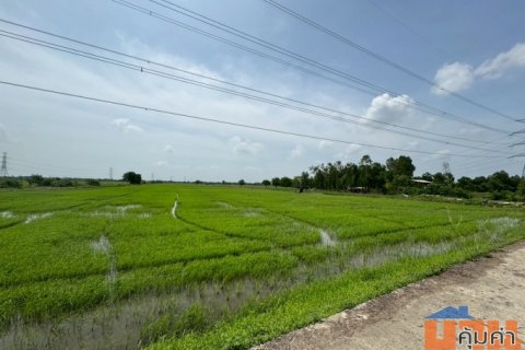 ขายที่ดิน เนื้อที่ 100 ไร่เศษ อ.วังน้อย จังหวัดพระนครศรีอยุธยา