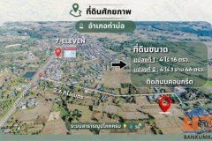 ขายที่ดินเปล่า 2 แปลงติดกัน 8ไร่ 1งาน 62 ตร.ว. ติดถนนคอนกรีต ทำเลทอง ท่าบ่อ หนองคาย