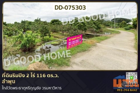 DD-075303 ที่ดินริมปิง 2 ไร่ 116 ตร.ว. ลำพูน ใกล้วัดพระธาตุหริภุญชัย วรมหาวิหาร