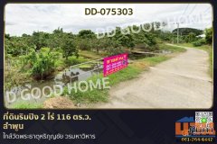 DD-075303 ที่ดินริมปิง 2 ไร่ 116 ตร.ว. ลำพูน ใกล้วัดพระธาตุหริภุญชัย วรมหาวิหาร