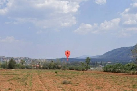 💢 ขายที่ดินเขาใหญ่ 10 ไร่ อำเภอปากช่อง จังหวัดนครราชสีมา