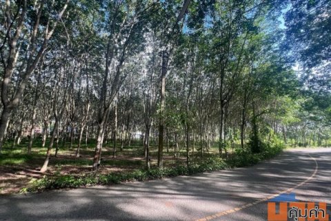 ขายที่ดินยกแปลง (2แปลงติดกัน) ติดถนนใหญ่ ทำเลดี อำเภอคลองหอยโข่ง จังหวัดสงขลา