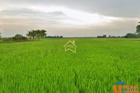 ขายถูก ที่ดิน 10 ไร่ ต.บ้านไร่ อ.บางกระทุ่ม จ.พิษณุโลก