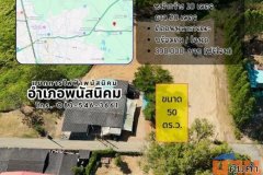 ขายที่ดินพนัสนิคม ราคาถูก หลักแสน