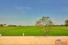 ขาย ที่ดิน 22 ไร่ 3 งาน 92.8 ตารางวา อ.ไทรน้อย จ.นนทบุรี ราคาถูกกว่าตลาดมาก