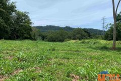 ขายที่ดินเปล่า ทำเลดี  อำเภอถลาง จังหวัดภูเก็ต