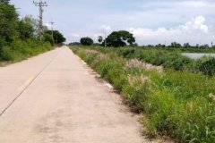 ขายที่บ่อปลา ติดคลอง 9 ถึง 30 ไร่ ติดถนน ต.ท่าข้าม อ.พนัสนิคม จ.ชลบุรี