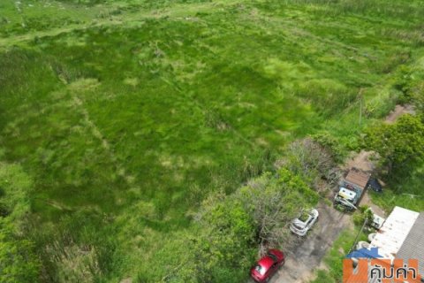 ขายที่ดิน รังสิตคลอง 13 ติดถนน ไร่ละไม่ถึงล้านโทร 061-9419-639