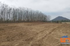 เริ่มต้นจากที่ดินทำเลดีดี... ขายที่เปล่า อ.หนองไผ่ จ.เพชรบูรณ์ 7 ไร่ 63 ตรว. ใกล้การไฟฟ้าหนองไผ่​  อยู่ติดถนนสระบุรี-ห