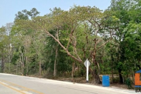 ขายที่ดินติดถนนนิคมสาย9 ระยอง เนื้อที่ 31-2-52.3 ไร่ ใกล้แยกมาบข่า-แยกนิคมพัฒนา ปัจจุบันเป็นสวนยาง 2.5 ล้าน/ไร่