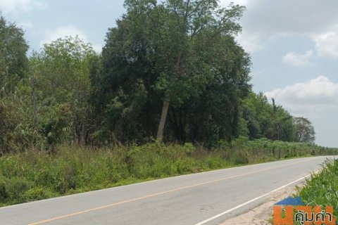 ขายที่ดินพัฒนานิคมสาย11ซอย11 จ.ระยอง ที่ดินสีม่วงลาย 23ไร่ครึ่ง ใกล้นิคมWHA36และBYDระยองเพียง 1 กิโลเมตร