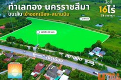 ขายที่ดินตำบลพระพุทธอำเภอเฉลิมพระเกียรติจังหวัดนครราชสีมา #ติดถนนเพชรมาตุคลา226   ขนาดที่ดิน: 16 ไร่ 74 ตารางวาโฉนด