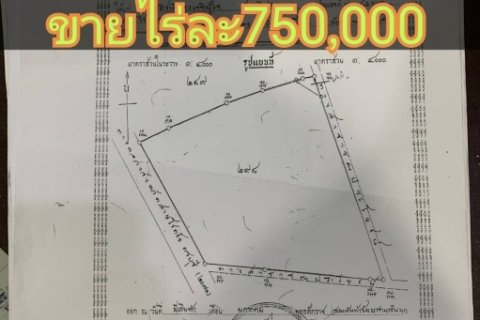 ขายที่ดินตำบลท่าเยี่ยมอำเภอโชคชัย จังหวัดนครราชสีมา ติดถนน​ราช​สี​มา​โชคชัย​  พื้นที่ 102 -ไร่3งาน