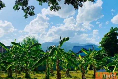 ขายที่ดินทำเลทอง! หมู่บ้านช่างทอง ต.สุเทพ อ.เมืองเชียงใหม่ ใกล้มหาวิทยาลัยเชียงใหม่ (หลัง มช.)