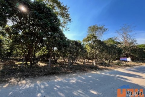 ขายที่ดิน อำเภอเชียงคาน แปลงที่ดินสวย ทำเลดี วิวเขาภูทอก ไม่ไกลจากถนนคนเดิน แก่งคุดคู้ ใกล้แหล่งชุมชนเมือง