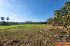 ขายที่ดิน เกาะคา จังหวัดลำปาง ติดริมน้ำแม่ต๋ำ โครงการอ่างเก็บน้ำ ศูนย์ศิลปาชีพ ทำเลดี วิวสวย เหมาะแก่การทำรีสอร์ต