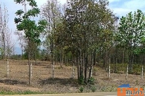 ขายที่สวนเพชรบูรณ์. 19 ไร่ 86 ตรว.รูปสี่เหลี่ยมคางหมู ติดเชิงเขา อยู่ ต.ท่าอิบุญ,อ.หล่มสัก