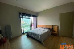 โนเบิล รีวิล Noble Reveal