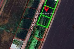 ขายถูก ที่ดินเปล่า3แปลง แปลงละ100ตรว. ซ.สังฆสันติสุข48/1 หนองจอก แบ่งขายได้