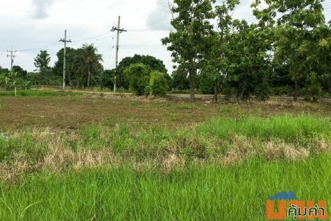 ขายที่ดินต้นธงลำพูน แปลงสวย แปลงมุม ติดถนนในซอย