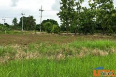 ขายที่ดินต้นธงลำพูน แปลงสวย แปลงมุม ติดถนนในซอย