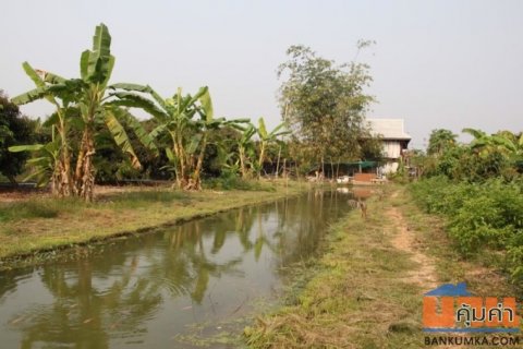 ขายที่ดินสวนลำพูนแปลงสวย น้ำใช้ตลอดปี ฟรีโอน โปรโมชั่นปี69