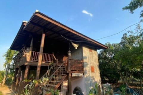 ขายที่ดินสวนลำพูนแปลงสวย น้ำใช้ตลอดปี ฟรีโอน แถมต่อธุรกิจสวนได้สบาย